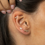 Stella Earrings