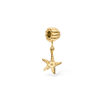Pingente Lei Estrela do Mar