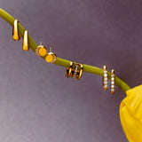 Graceful Dome Earrings