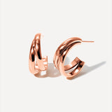 Decorous earrings
