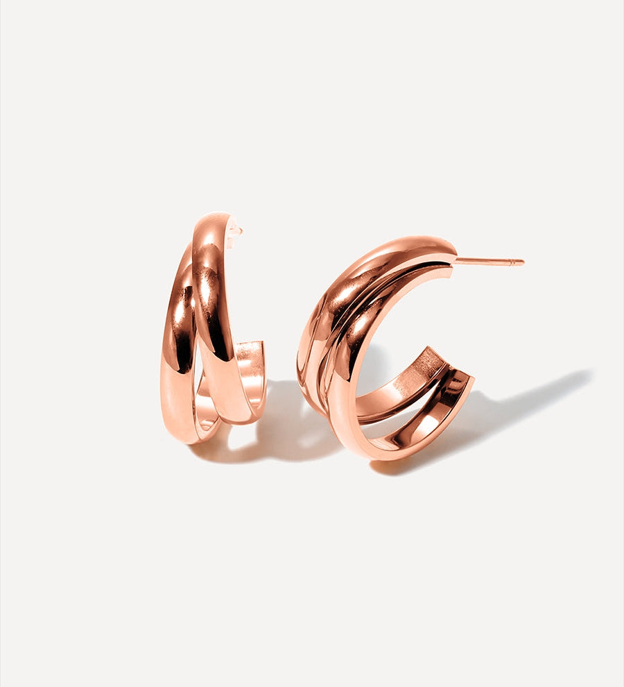 Decorous earrings