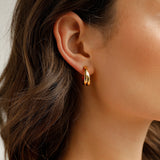 Decorous earrings