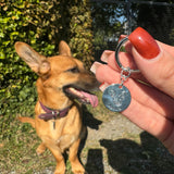 Porta Chaves com Rosto de Animal Personalizado