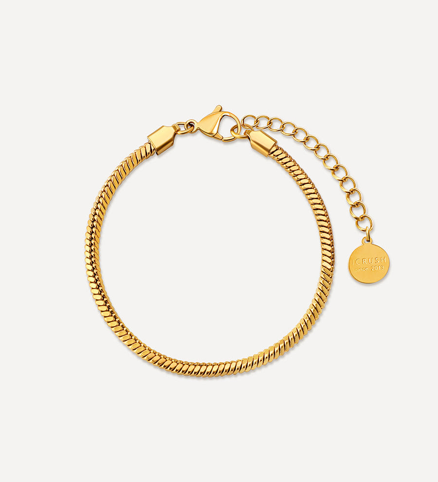 Pulseira Clássica Redonda Elegante