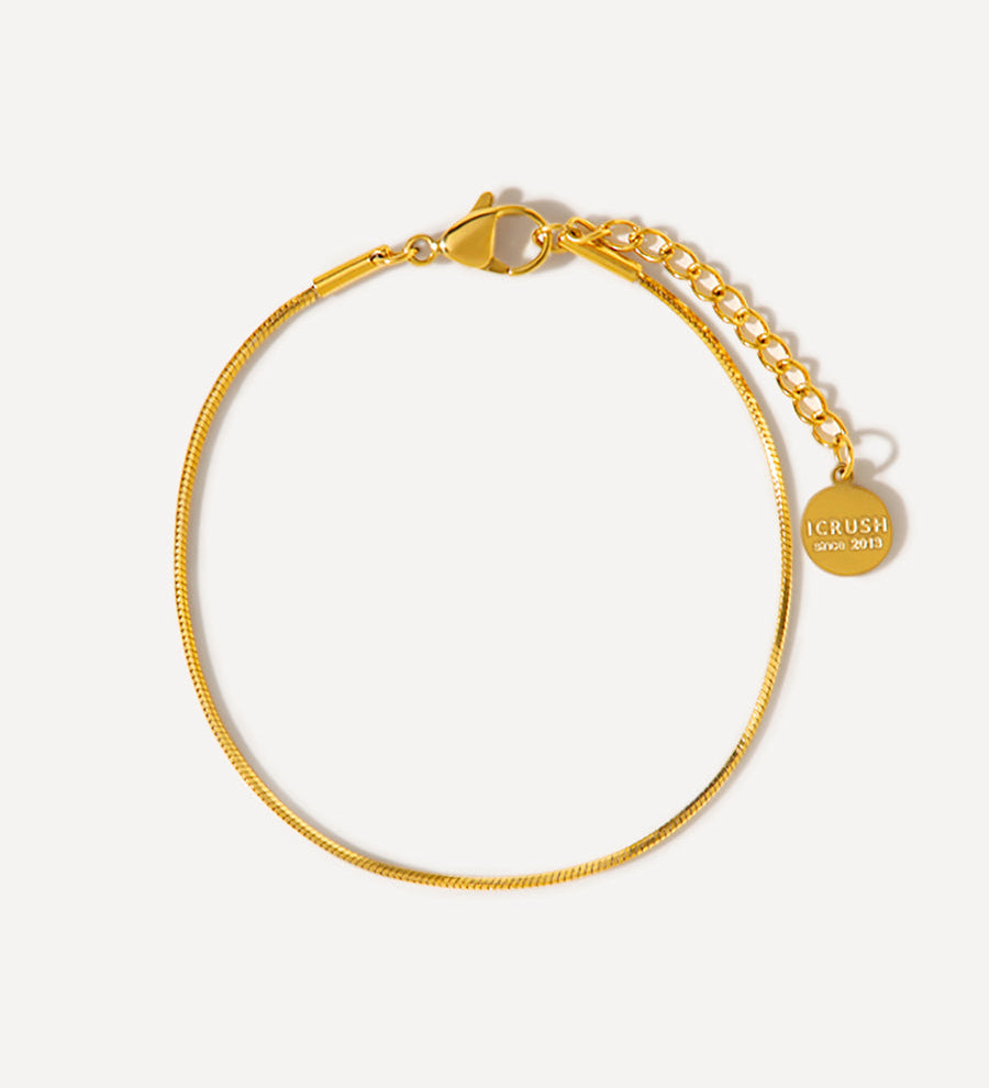 Pulseira Moderna Elegante