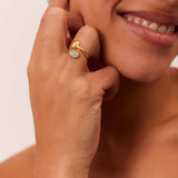 Anel Vikshepa (Banhado a Ouro)