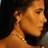 Star Earrings