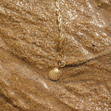 Colar Seashells