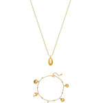 Conjunto Aurea