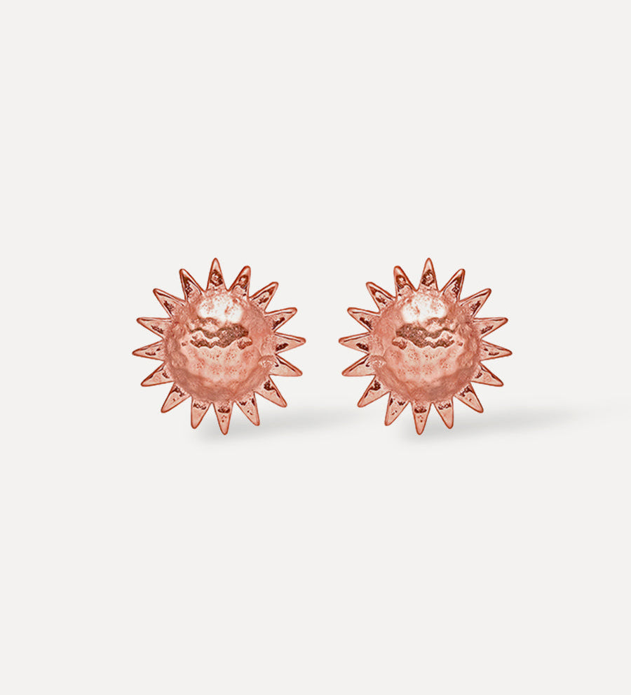 SOLAR EARRINGS