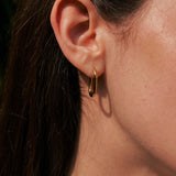 19mm Absolute Appeal Small Earrings