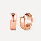 Splendid Earrings
