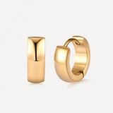 Splendid Earrings