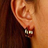 Decorous earrings