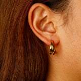 Decorous earrings