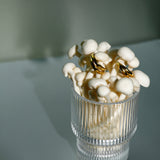 Decorous earrings