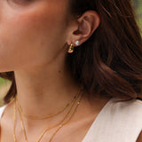 Modern Bean Earrings