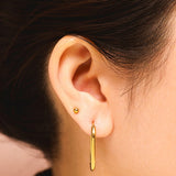 Graceful Oval Earrings