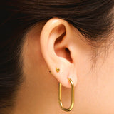 Graceful Oval Earrings