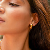 Chic Drop Earrings