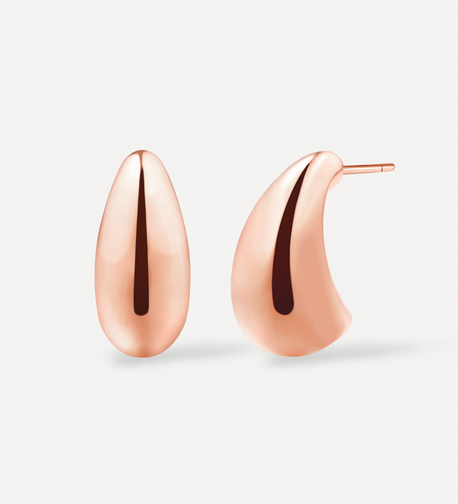 Small Chic Drop Earrings
