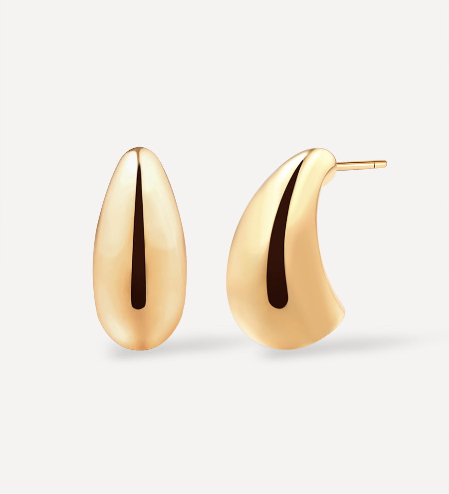 Small Chic Drop Earrings