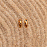 Brincos Anuri (Banhado a Ouro)